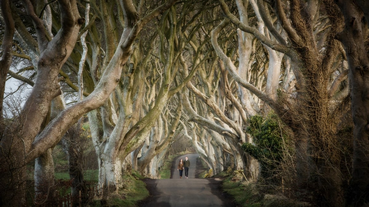 Ultimative Game of Thrones-Privattour mit 19 Stopps