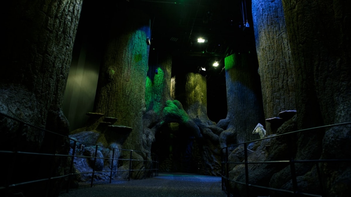 Der Verbotene Wald | Warner Bros