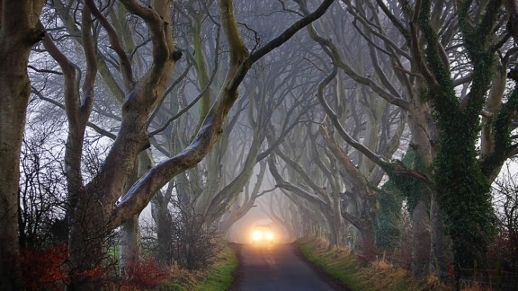 Giant’s Causeway tour with Game of Thrones locations