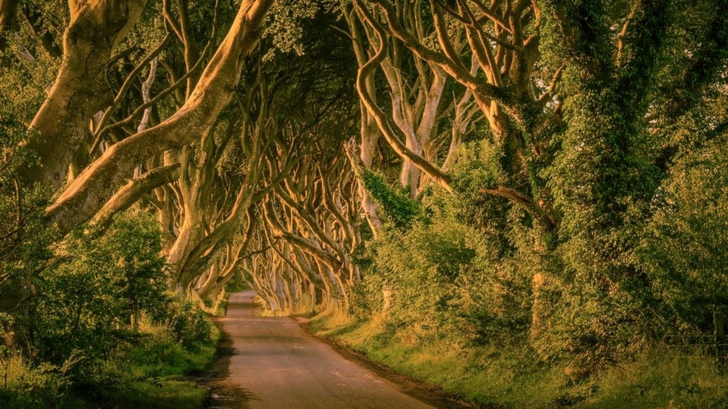 Game of Thrones-Spaziergang in Dubrovnik