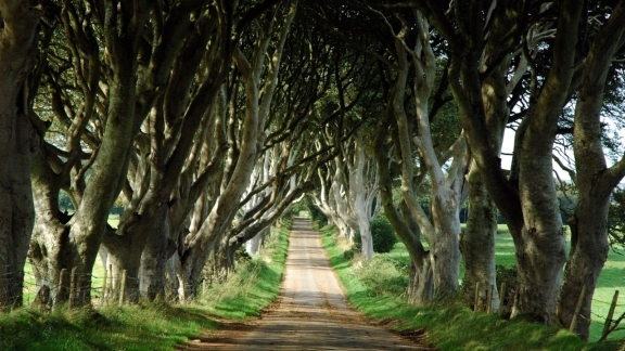 Game of Thrones Tour with Giant’s Causeway