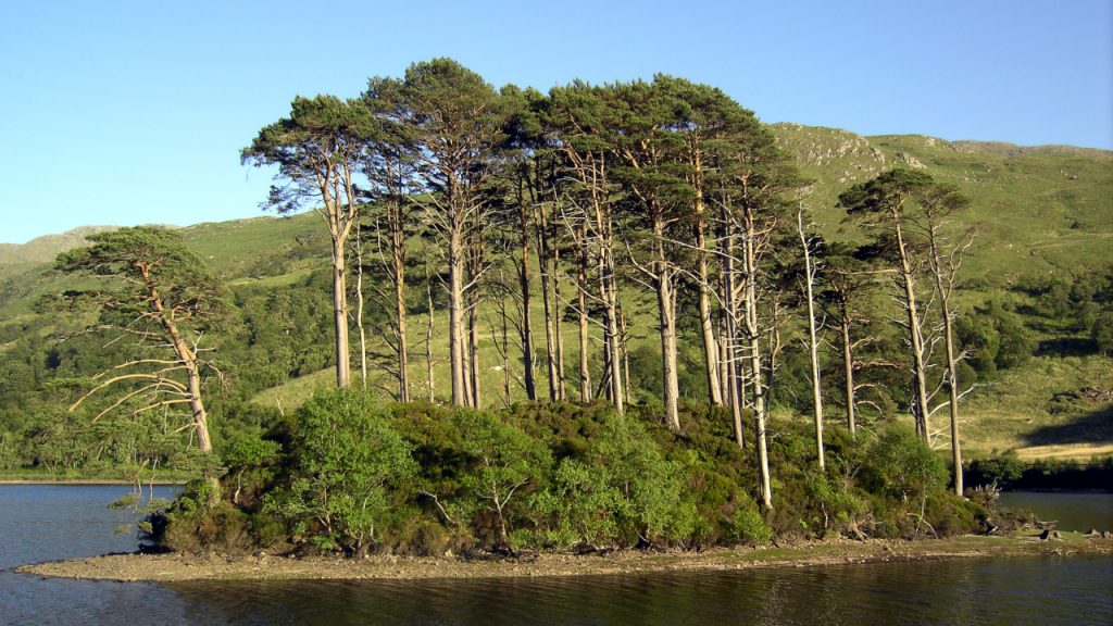 Eilean na Moine / Dumbledore's Grave