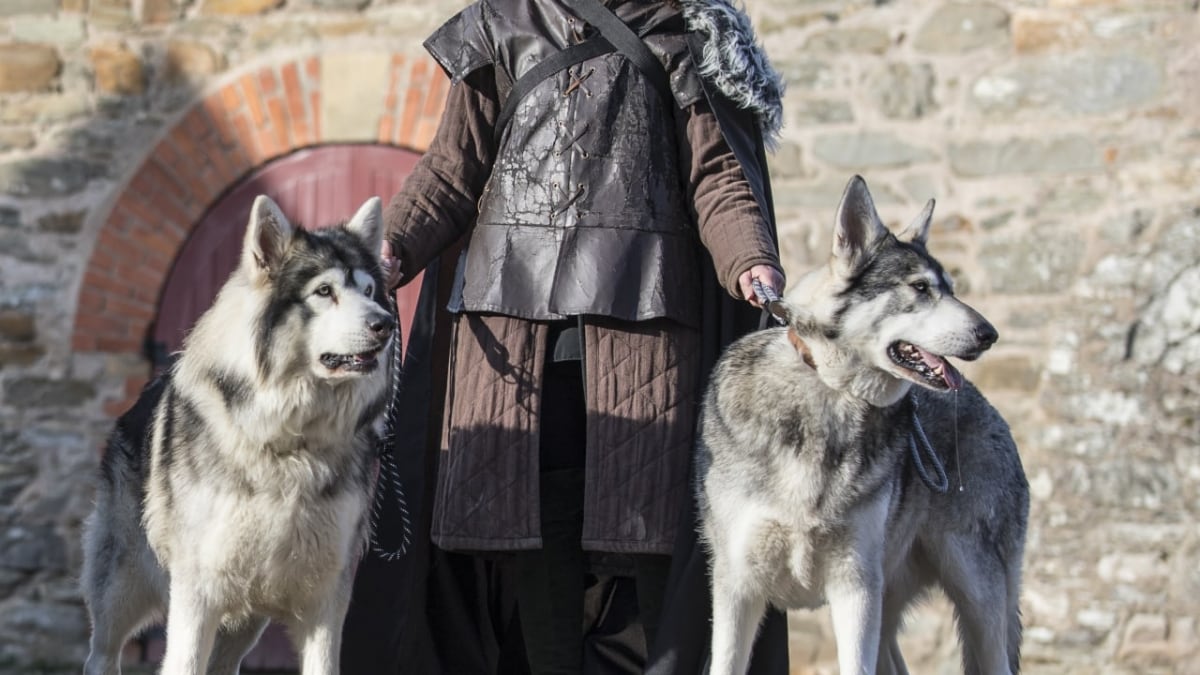 Game of Thrones Walk in Dubrovnik