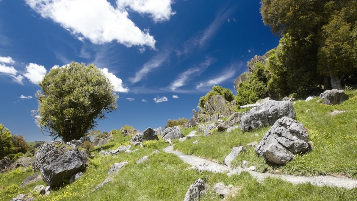 Hairy Feet Waitomo Hobbit-Tour