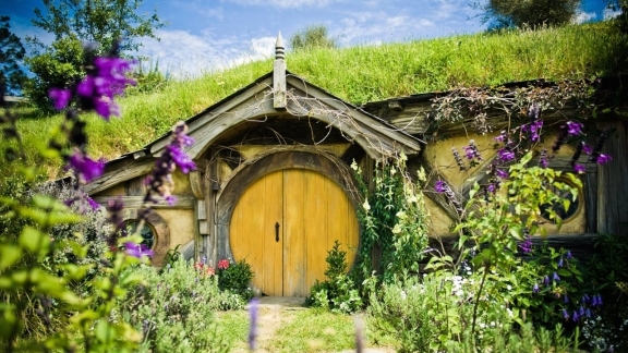 Rotorua to Auckland via Hobbiton Movie Set – One Way