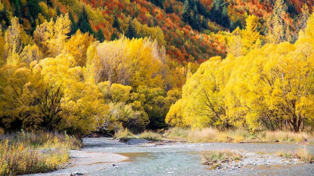 Lord of the Rings 10-Day New Zealand Tour