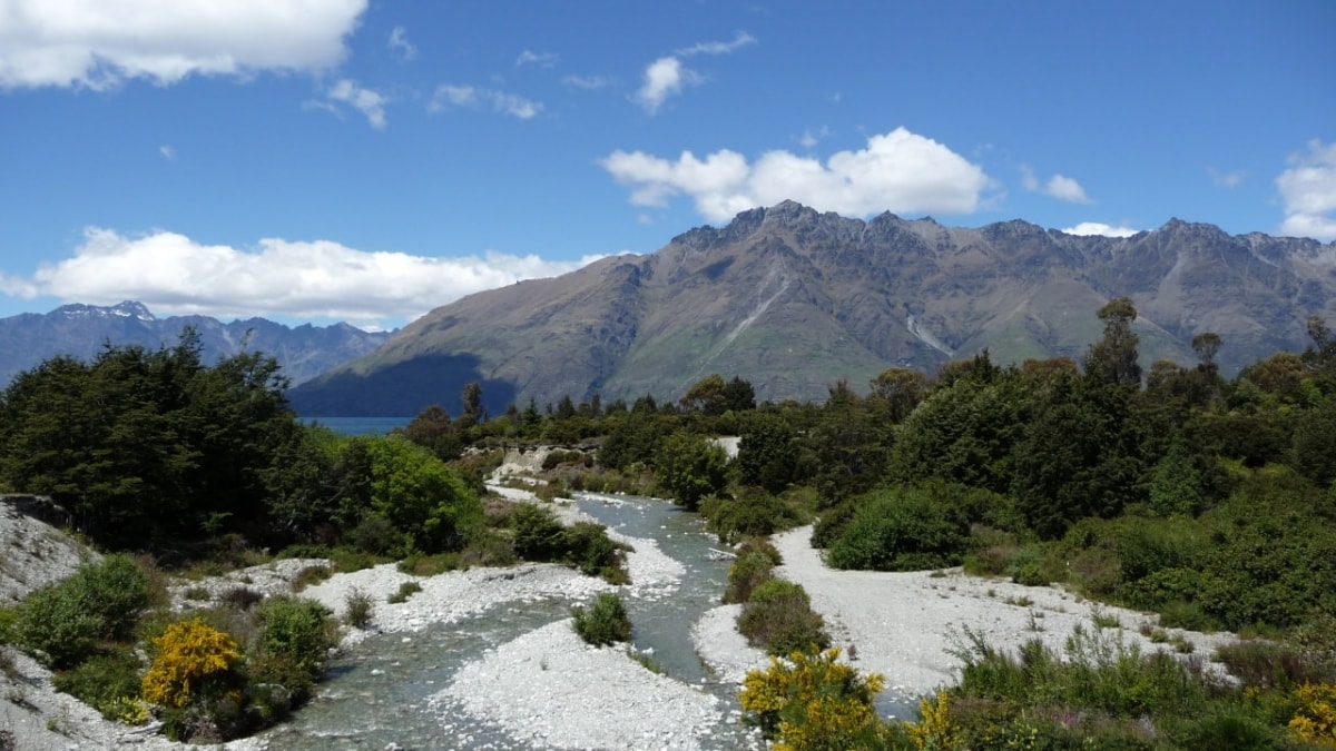 Wellington Movie Tour