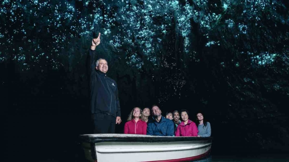 Hobbingen Filmset und Waitomo Glühwürmchen-Höhlen ab Auckland