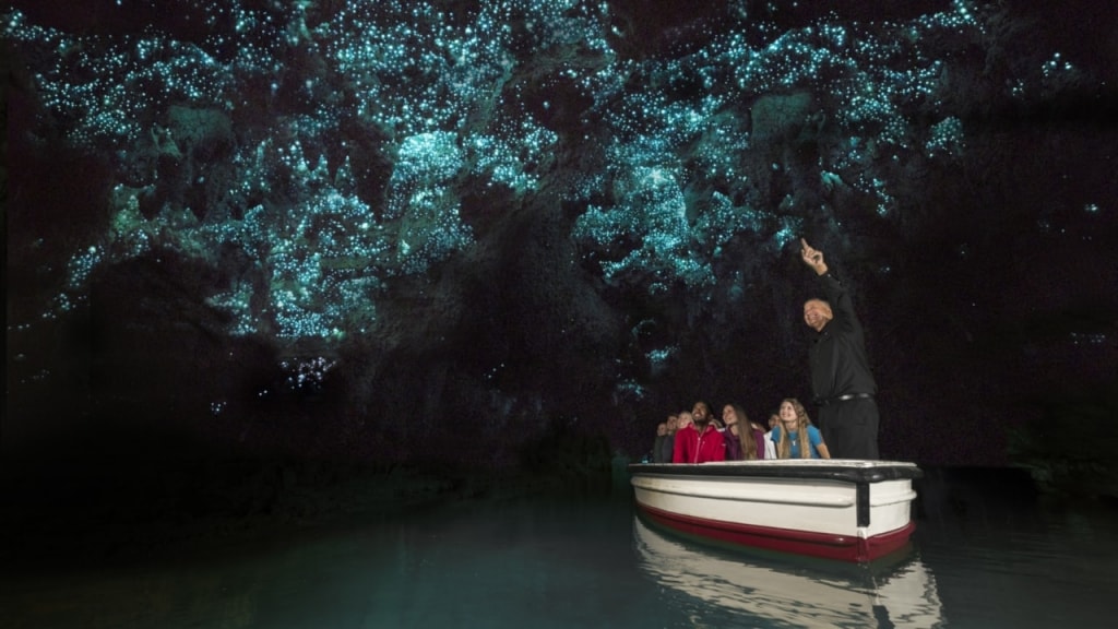 Die Glühwurmhöhlen von Waitomo