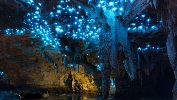 2-tägige Privattour zu Waitomo-Höhlen, Rotorua und Hobbingen Filmset