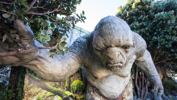 Wellington Movie Tour