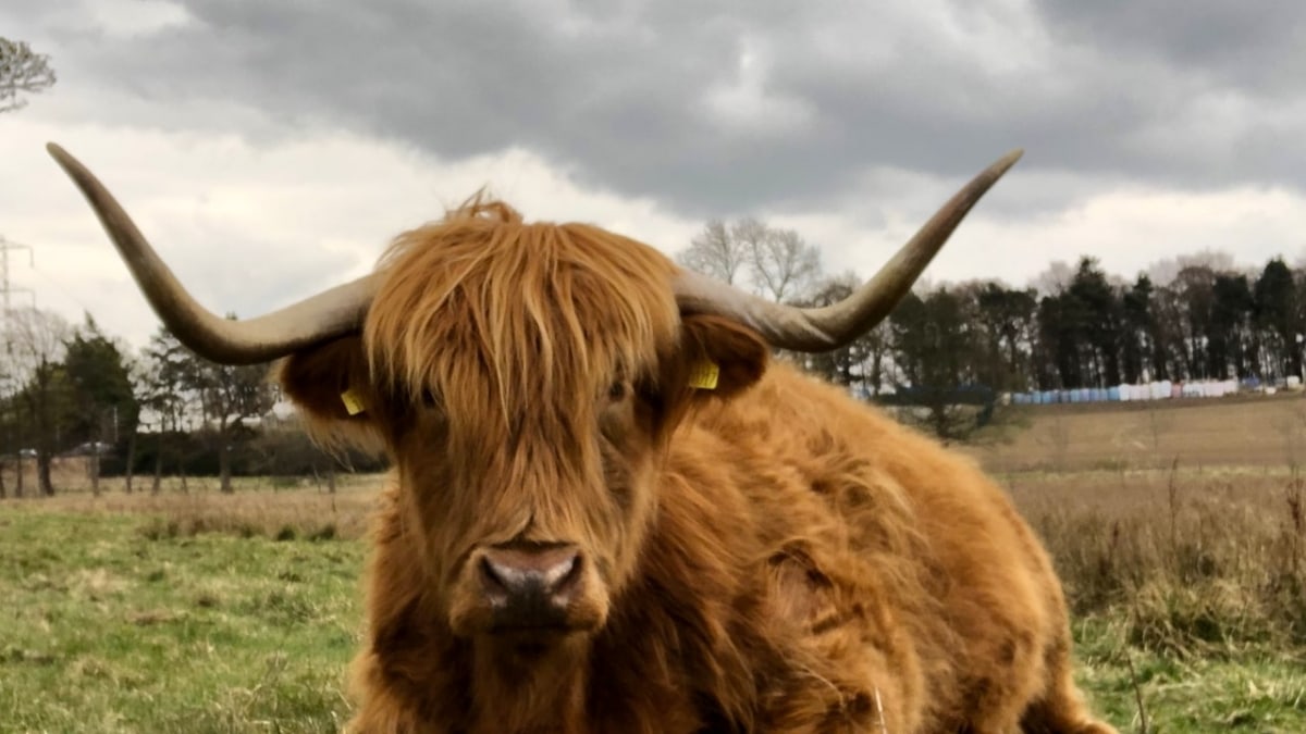 Private Tagestour zu Outlander-Drehorten ab Edinburgh