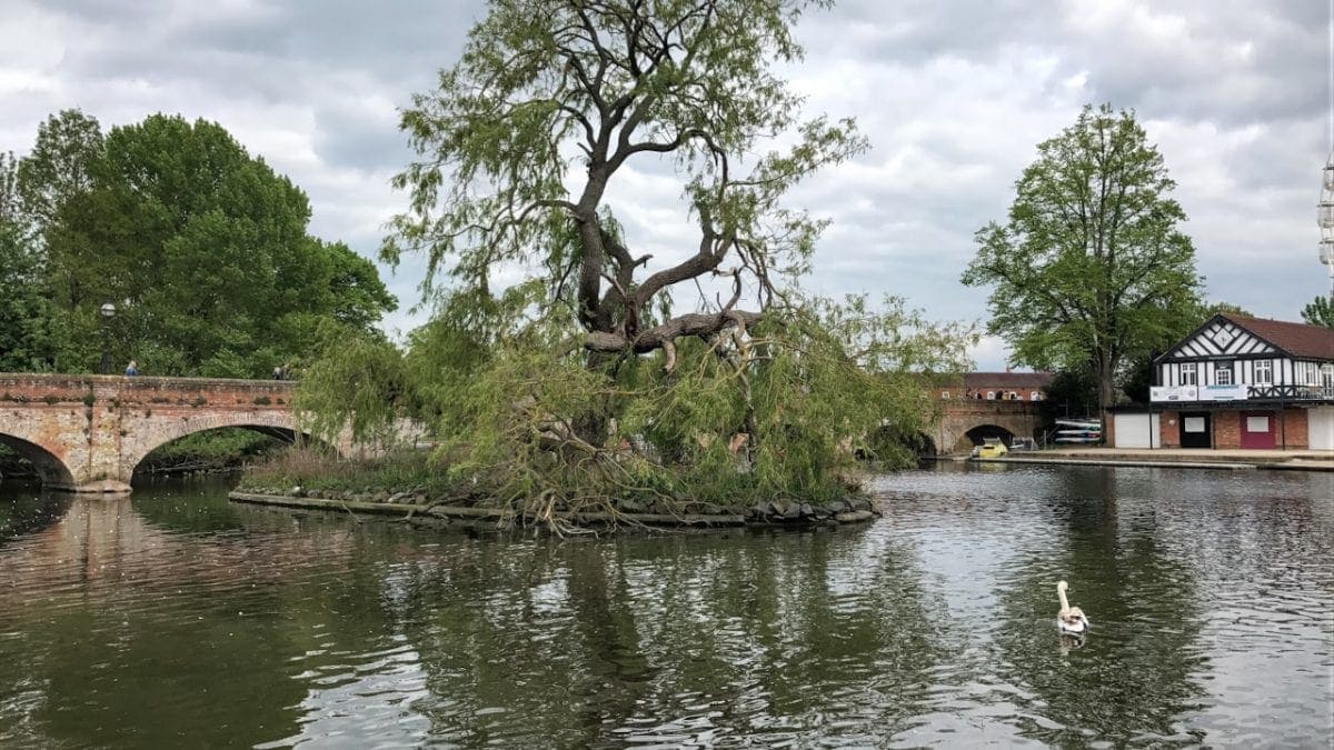 Shakespeare privater Tagesausflug nach Stratford-upon-Avon
