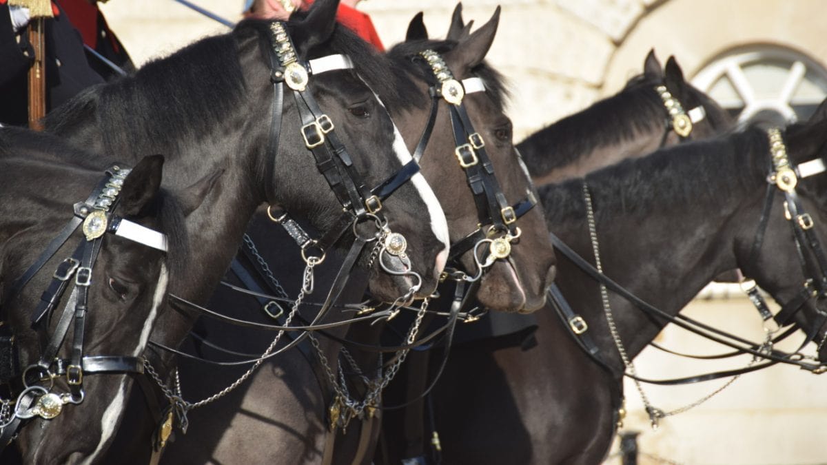 The Crown Private Walking Tour of London
