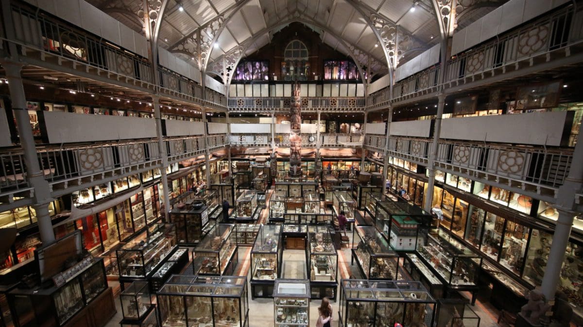 His Dark Materials Private Tour of Oxford from London