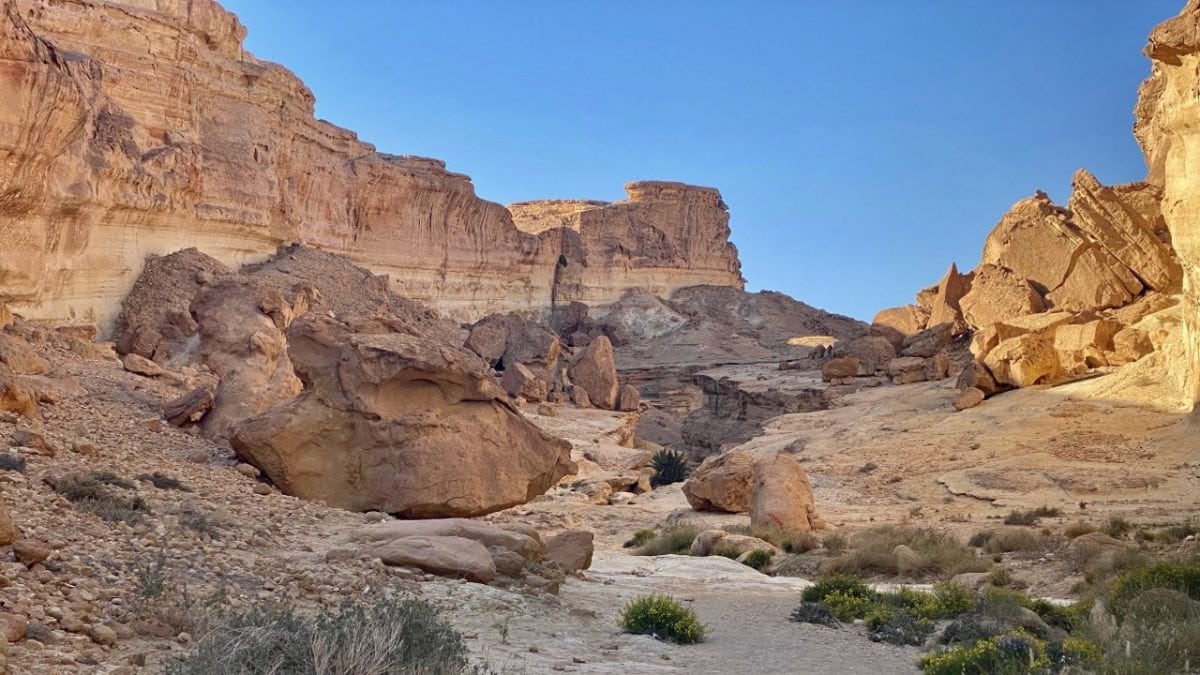 Star Wars 8-Day Private Tour of Tunisia