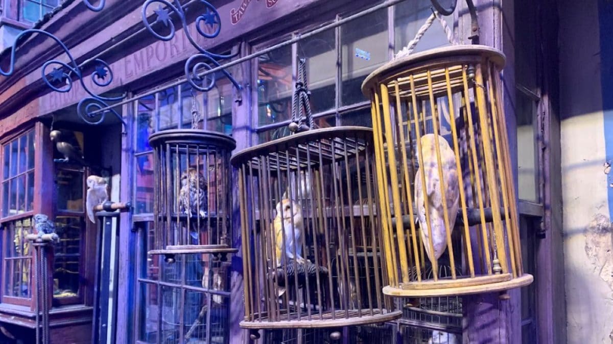 Harry Potter Studios & Walking Tour of London Locations