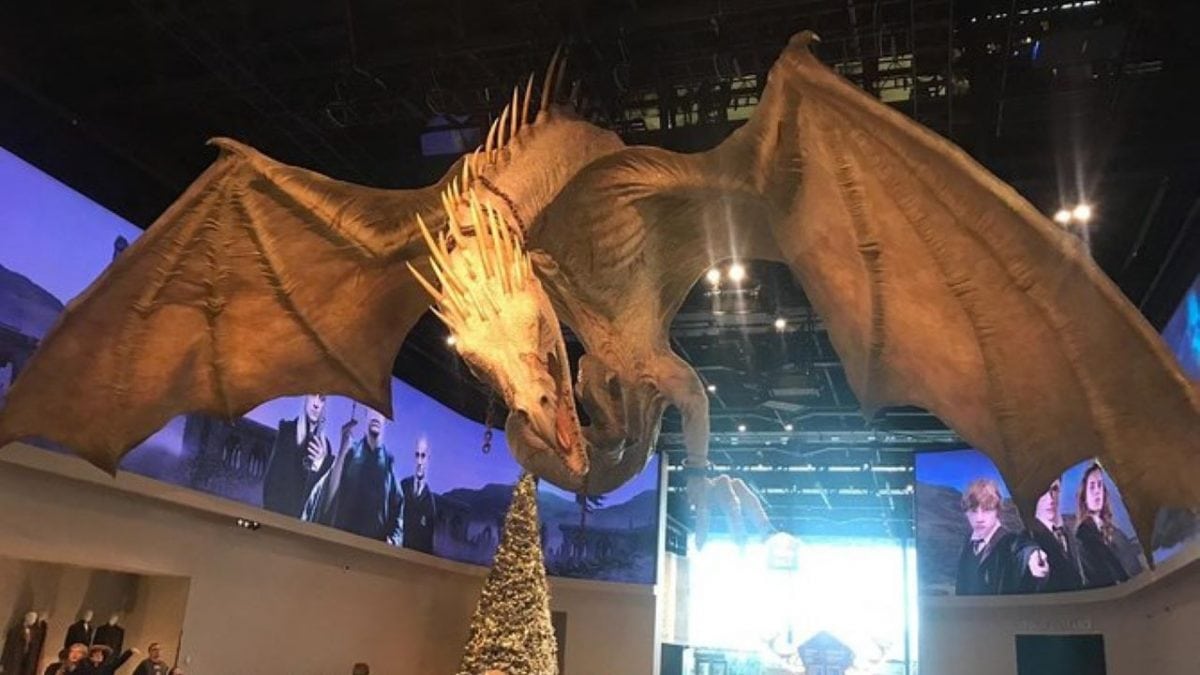 Harry Potter Studios & Walking Tour of London Locations